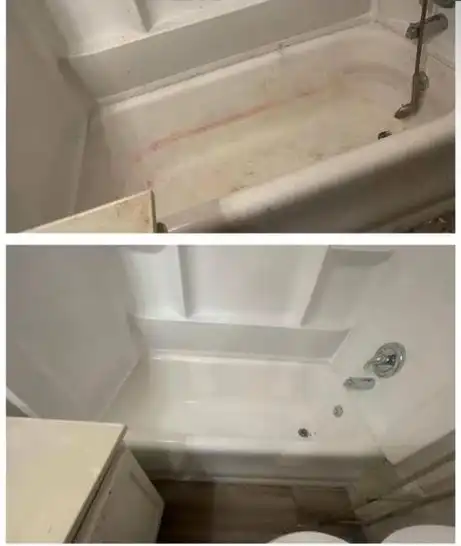Professional Cleaner Professional Cleaner