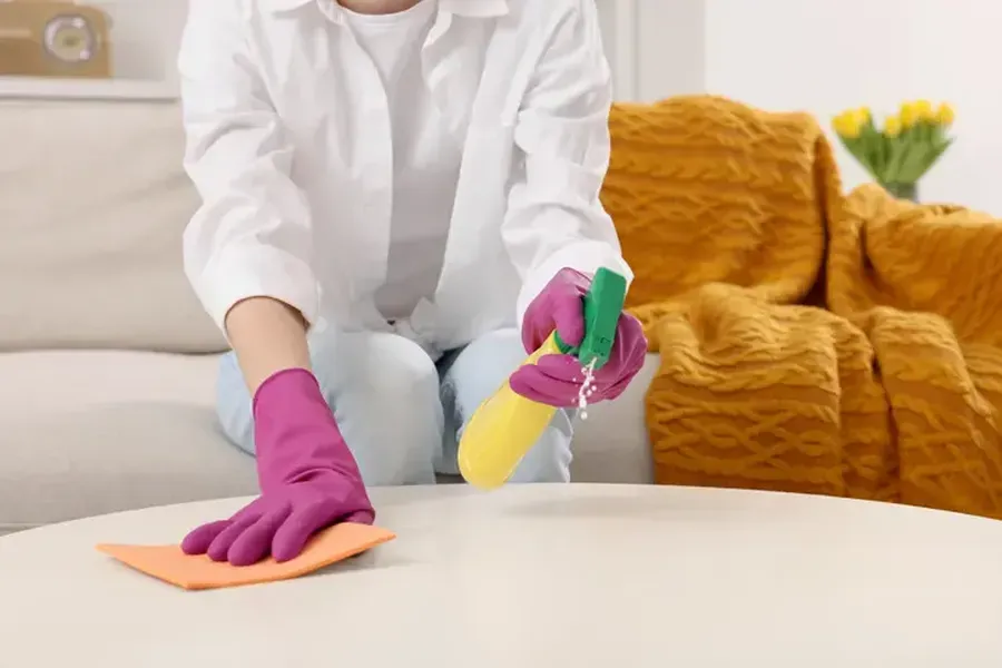 Effective Ways to Maintain a Clean Home Between Visits in Rob Roy, Austin, TX 78746