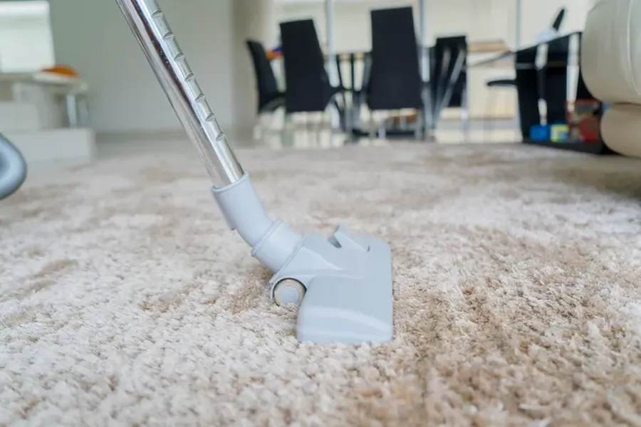 How Often Should You Schedule Carpet Cleaning Services in West Lake Hills, Austin, TX 78746
