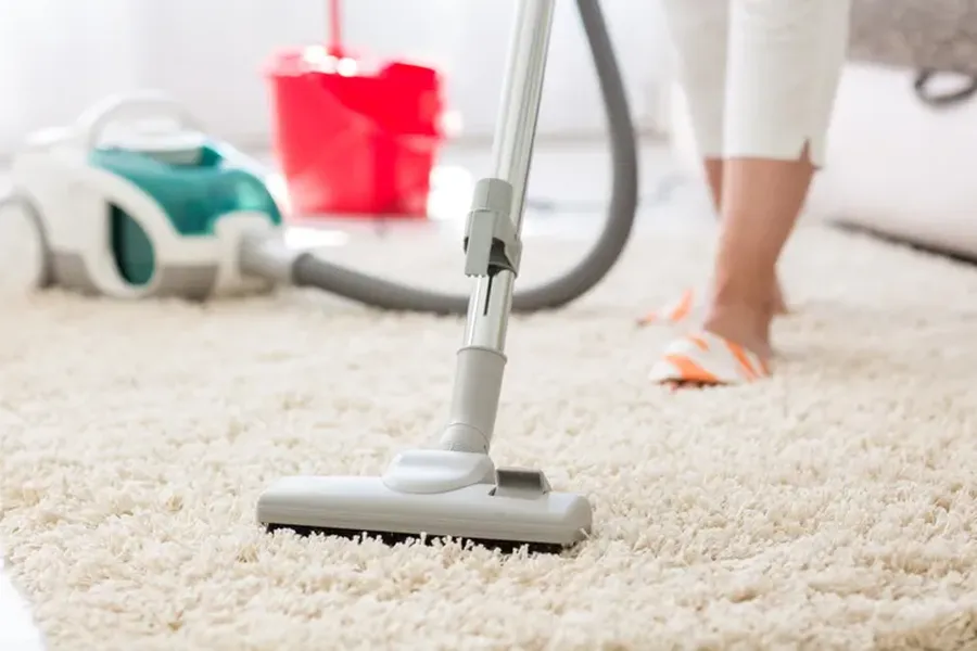 How Often Should You Schedule Carpet Cleaning Services in West Lake Hills, Austin, TX 78746