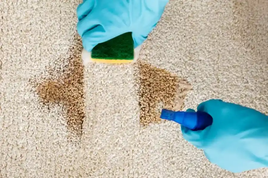 The Benefits Of Professional Carpet Cleaning For Allergies Austin, TX