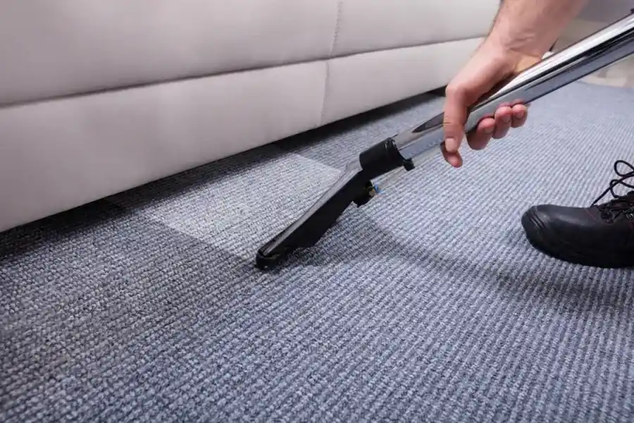 The Benefits Of Professional Carpet Cleaning For Allergies in Austin, TX