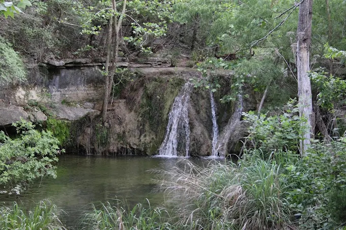 Beautiful photo of Wild Basin Wilderness Preserve Davenport Ranch, Austin, TX 78746 Wild Basin Wilderness Preserve during sunset Davenport Ranch, Austin, TX 78746